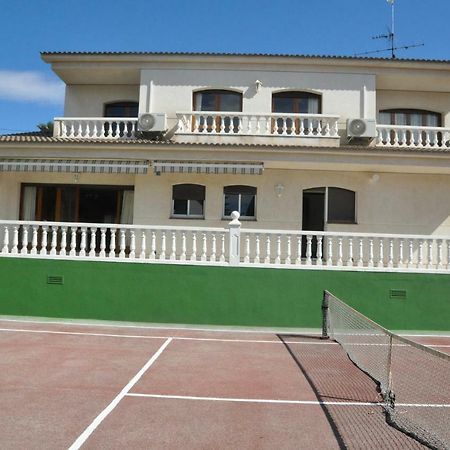Tenis Roda de Bara Bagian luar foto